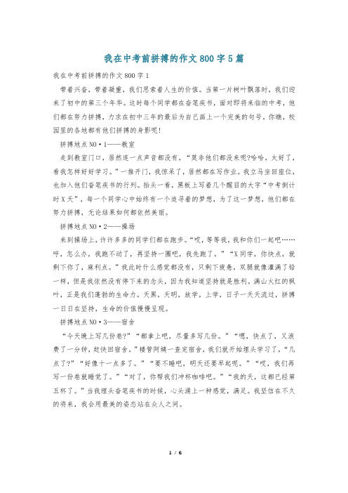 我在中考前拼搏的作文800字5篇