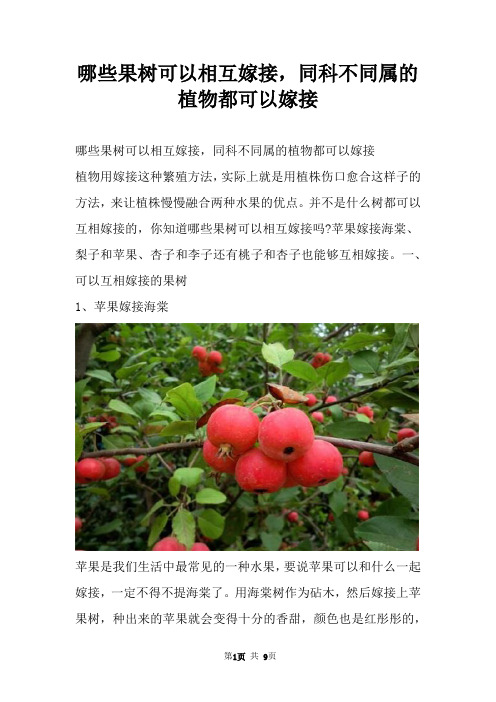 哪些果树可以相互嫁接,同科不同属的植物都可以嫁接