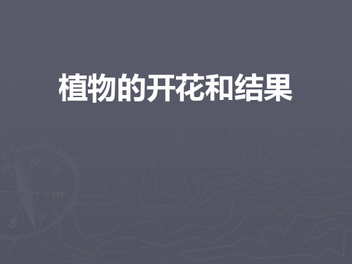 《植物的开花和结果》PPT