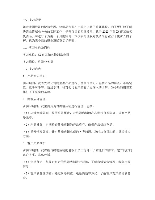 快消品终端业务员实习报告