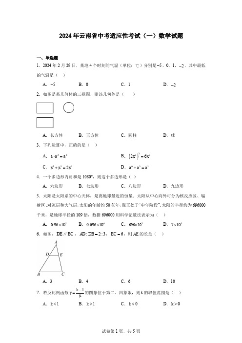 2024年云南省中考适应性考试(一)数学试题