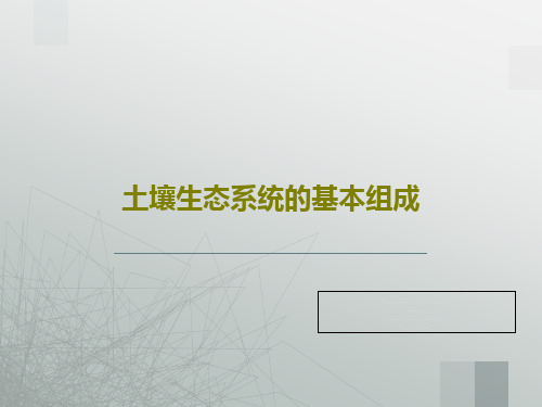 土壤生态系统的基本组成共55页PPT