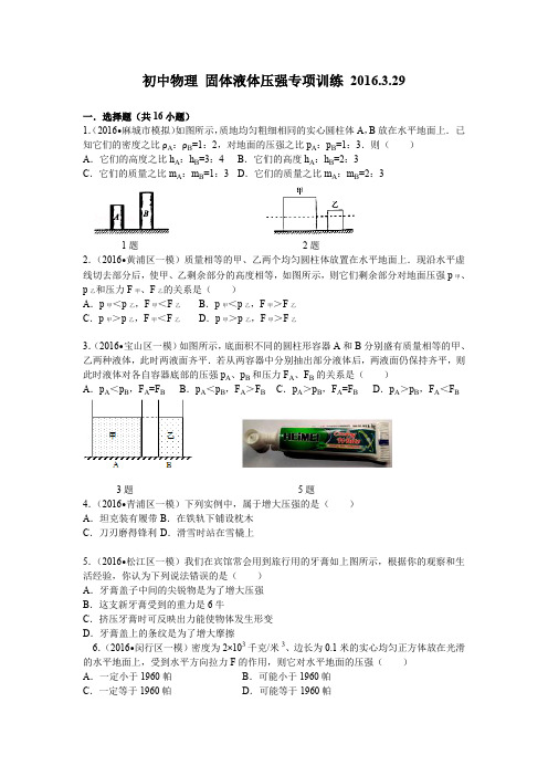 初中物理 固体液体压强专项训练试题(推荐文档)