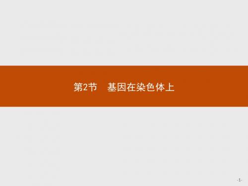 基因和染色体的关系 PPT课件6 人教课标版1