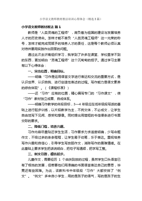 小学语文教师教材教法培训心得体会（精选3篇）