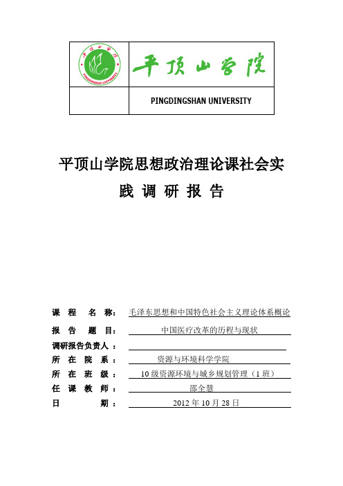 思想政治理论课社会实践调研报告