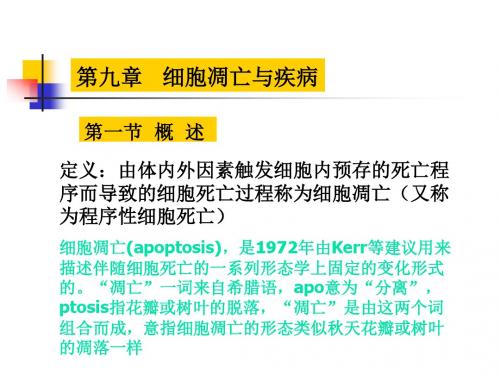 细胞凋亡与疾病