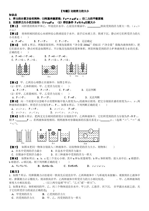 专题--浮力大小的比较