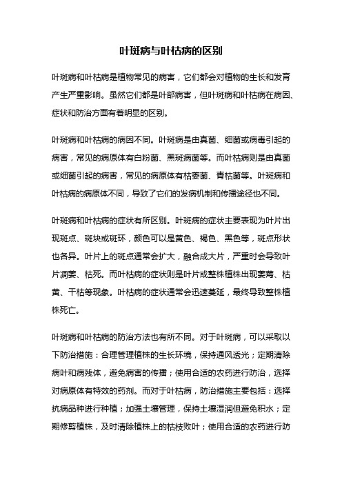 叶斑病与叶枯病的区别