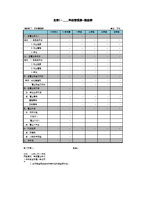 年度预算套表