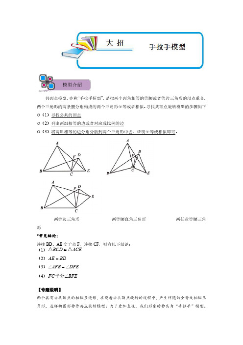 模型11 手拉手模型(解析版)