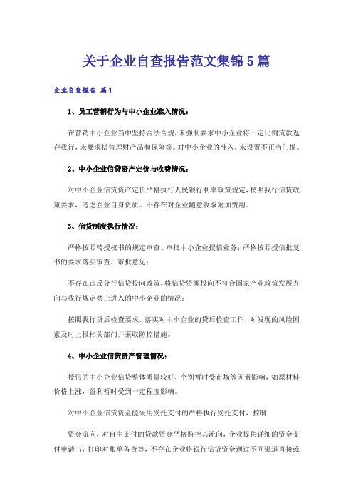 关于企业自查报告范文集锦5篇