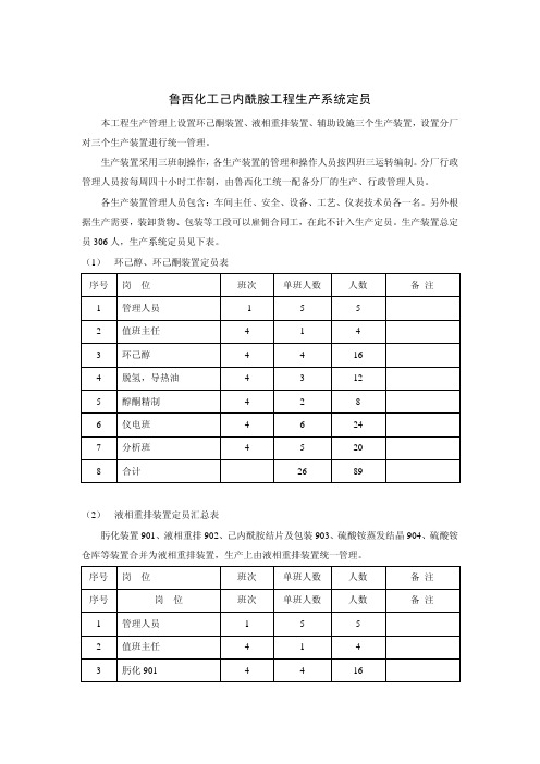 鲁西化工己内酰胺工程