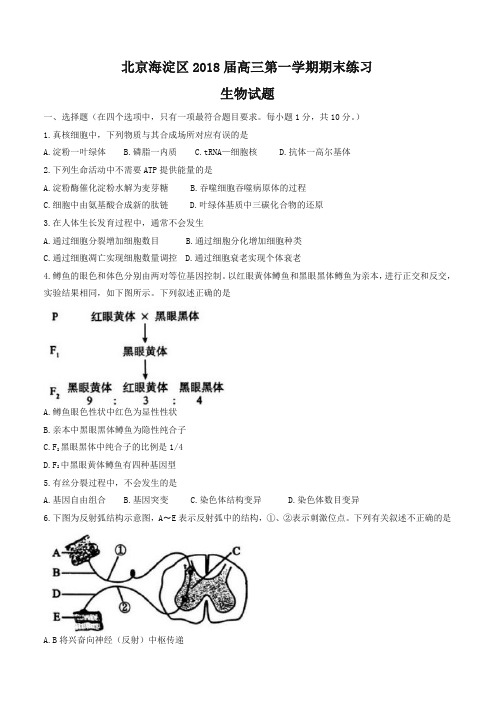 [最新推荐]北京市海淀区2018届高三第一学期期末练习生物试卷(有答案)