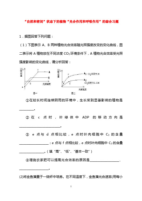 高中生物：光合作用和呼吸作用的专题习题练习新人教版必修1