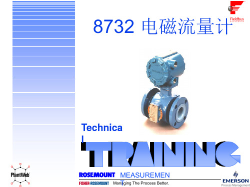 8732 电磁流量计,8800 涡街流量计操作手册