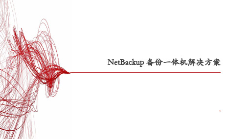 Veritas NetBackup备份一体机解决方案