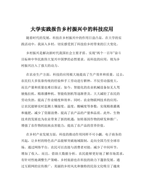 大学实践报告乡村振兴中的科技应用