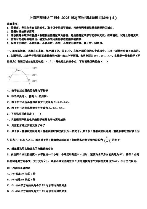 上海市华师大二附中2025届高考物理试题模拟试卷(4)