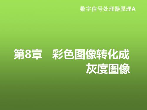 DSP原理及图像处理应用第8章 彩色图像转化成灰度图像1