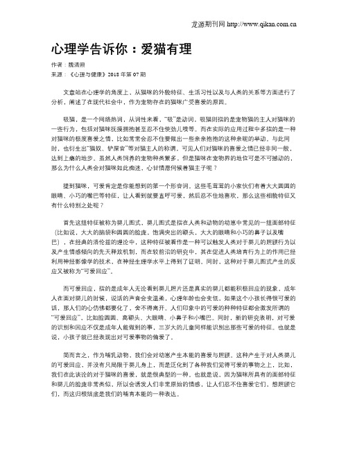 心理学告诉你:爱猫有理