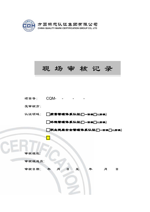 S-RZ-JL-SH-004a现场审核记录(封面、说明)