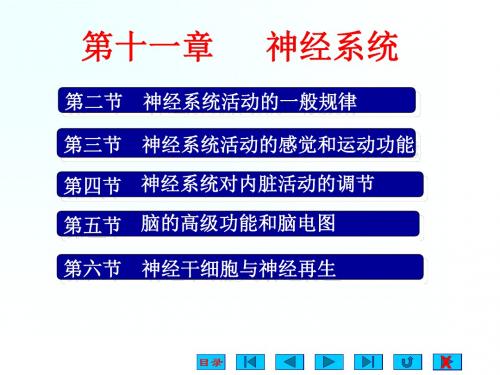 第10章神经系统 139页
