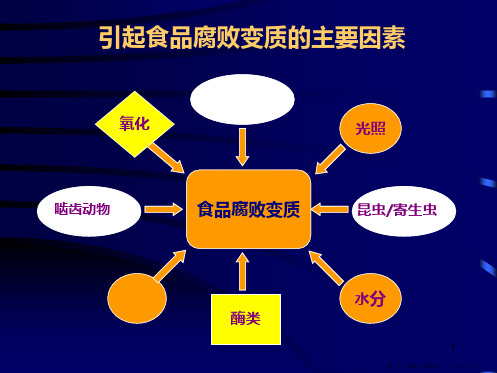 食品化学成分及其在保藏中变化