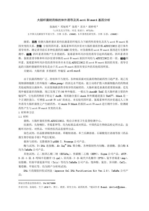 医疗行业-大肠杆菌耐药株的体外诱导及其acrA和marA基因分析 精品