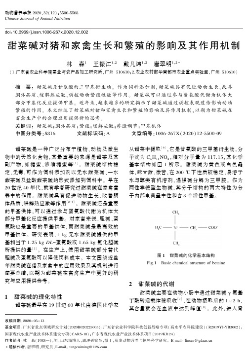 甜菜碱对猪和家禽生长和繁殖的影响及其作用机制