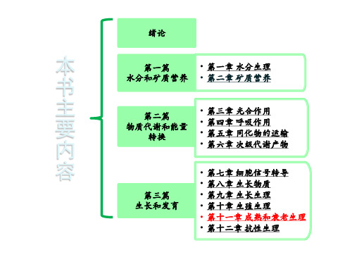 植物生理学课件第十一章 植物的成熟和衰老生理