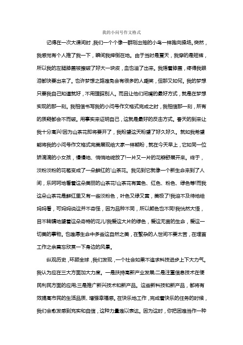 我的小问号作文格式