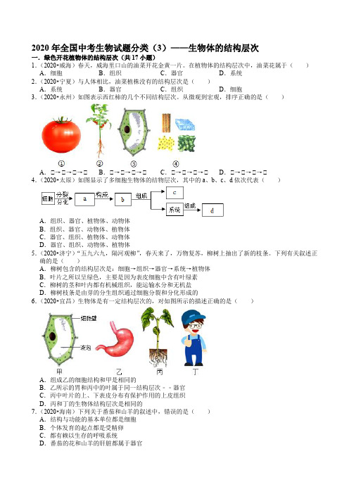 2020年全国中考生物试题分类(3)——生物体的结构层次-解析版