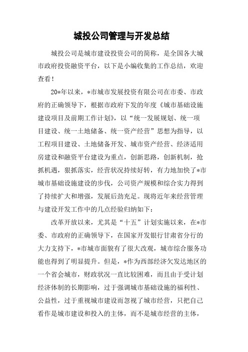 城投公司管理与开发总结