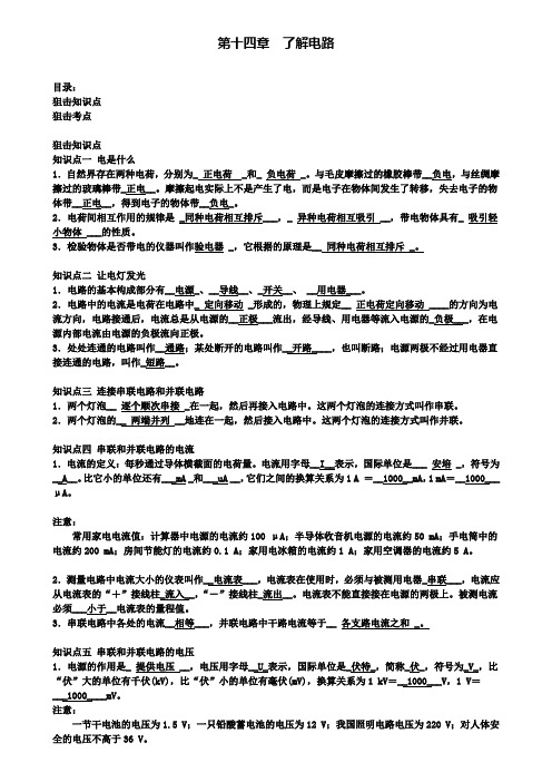 中考物理总复习考点第十四章了解电路