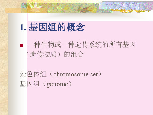 分子生物学  基因组与比较基因组学