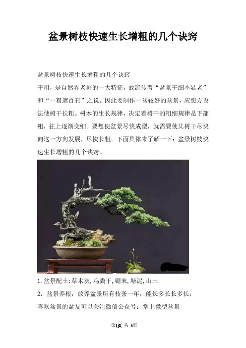 盆景树枝快速生长增粗的几个诀窍