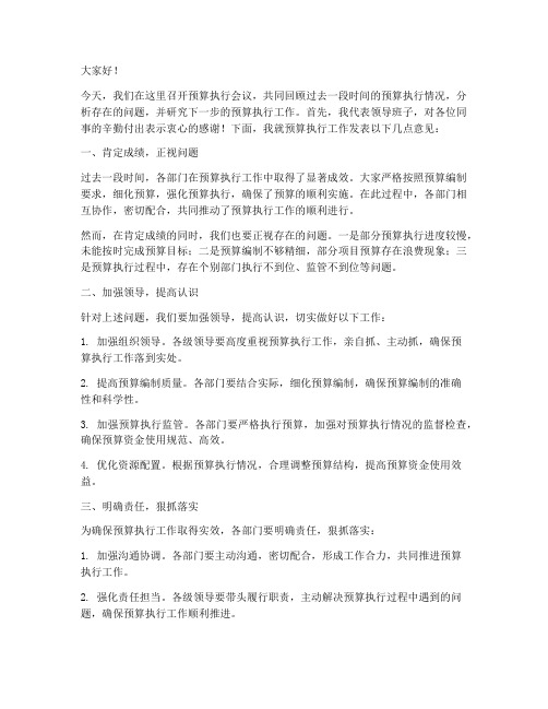 预算执行会议领导发言稿