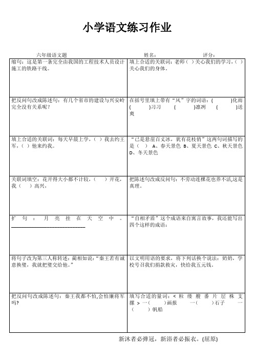 小学六年级语文提高训练 (38)