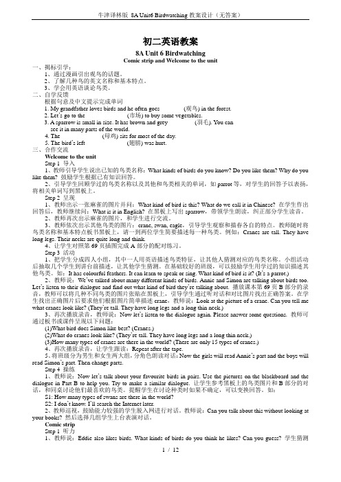 牛津译林版 8A Unit6 Birdwatching教案设计(无答案)