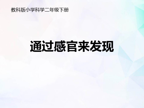 教科版二年级下册科学《通过感官来发现》PPT教学课件