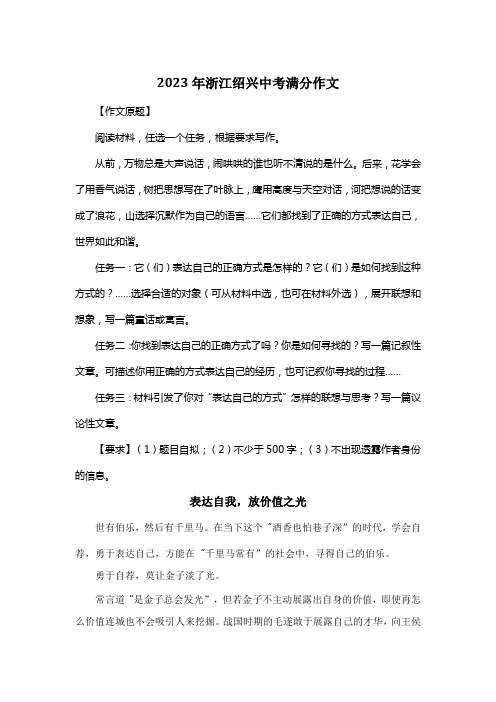 2023年浙江绍兴中考满分作文《表达自我,放价值之光》