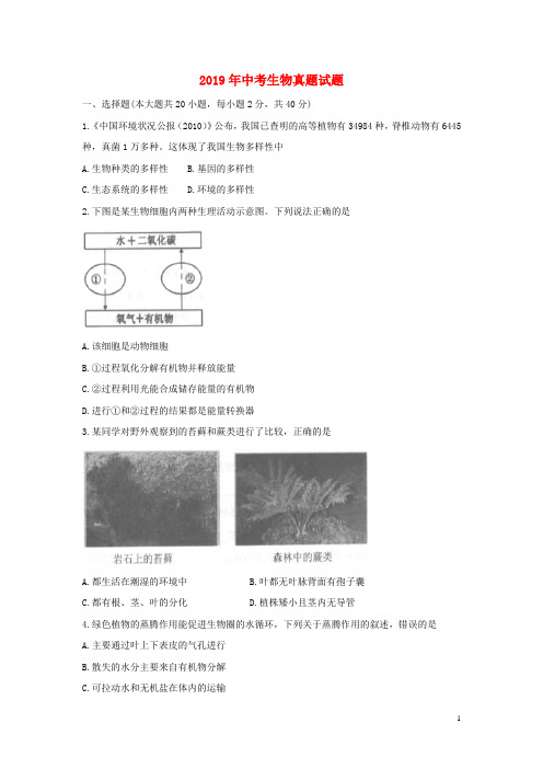 2019中考生物真题试题(含答案)