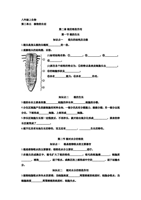 八年级上生物第三单元第二章根的吸收作用