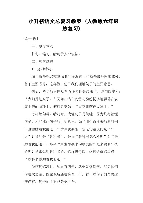 小升初语文总复习教案 人教版六级总复习.doc