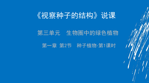 《观察种子的结构》说课(人教版生物)