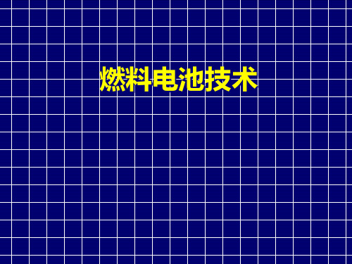 燃料电池技术