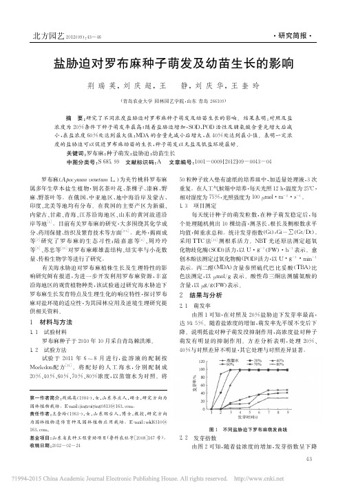 盐胁迫对罗布麻种子萌发及幼苗生长的影响