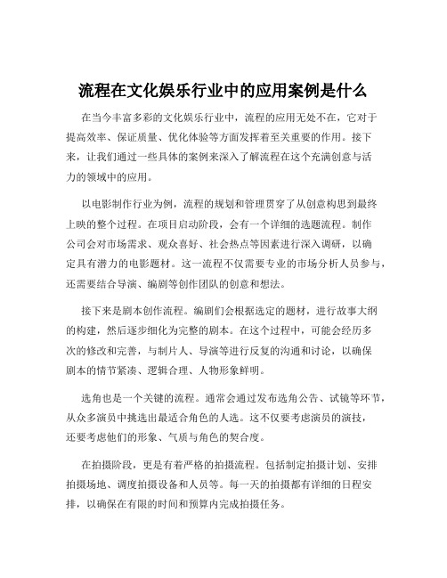 流程在文化娱乐行业中的应用案例是什么