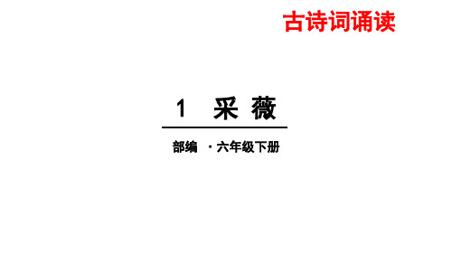 部编版六年级下册语文1、采薇(节选)课件(17张)